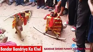 Bandar Bandriya Ka Khel | Watch Bandar Short Funny Comedy Video India | Funny Monkey Videos