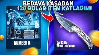 BEDAVA KASADAN 120 DOLAR İTEM KATLADIM! - CSGONET