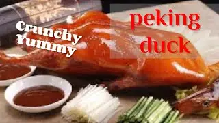 Crunchy Roasted Peking Duck - Empire City Roasted Duck K11 Art Mall Hong Kong 大都烤鴨
