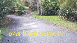 jan pona sin! #1: mi kama lukin!