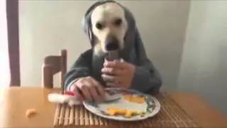 Человек с собачьей головой//шокирующие видел!!!!
