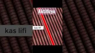 KULUNÇ NEDİR? 