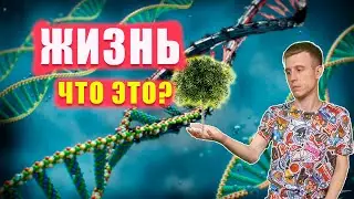 Загадки жизни: от Зарождения до Смысла