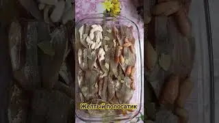 Желтый полосатик из окуня-ДОМАШНИЙ РЕЦЕПТ!!!!)