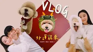 過年Vlog❤️開箱改造後陽台｜兩人的年夜飯｜紅包金額靠運氣｜把家一秒變錢櫃KTV ｜一週生活札記✨
