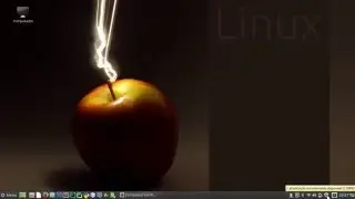 Como instalar e desinstalar no Linux Mint (FÁCIL)