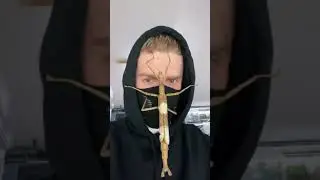я очень боюсь насекомых это очень страшно даже на видео😳