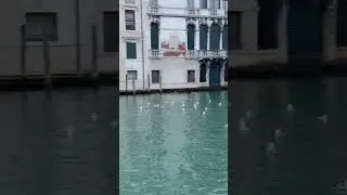 Buongiorno | Good Morning Venice, Italy