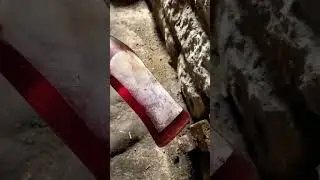 НАШЛИ 