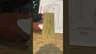 Reading Figure/How to Read Wood Grain (Part 2) 