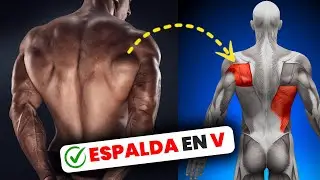ESPALDA en V : La GUÍA definitiva de EJERCICIOS.