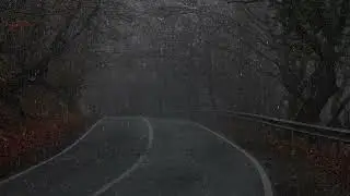 Foggy Mountain Rain In Quiet wilderness Road for sleep