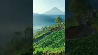 indah sekali Alam ini #SHORTS