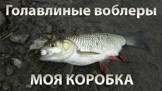 Воблеры на голавля | Моя коробка. Lures for the chub