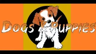 Dogs & Puppies