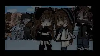 ✨ Шо то ✨