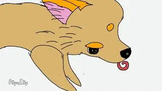Naki
