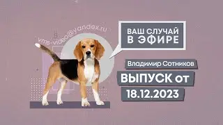 Ваш случай в эфире. Выпуск от 18.12.2023