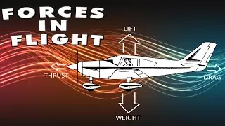 QuickClips - Forces In Flight