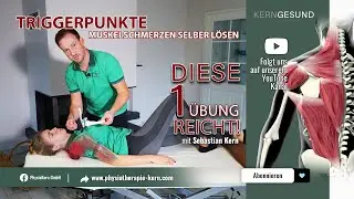 Muskelschmerzen selber lösen! - Diese 1 Übung reicht!
