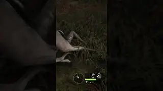 Hunter called the wild 225m bow kill