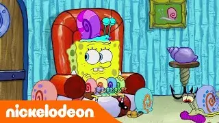 Spongebob | Troppe lumache | Nickelodeon Italia