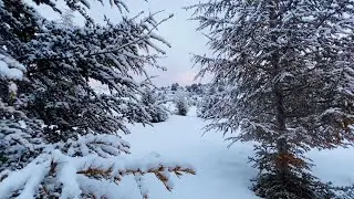 -12 FROZEN IN SNOW CAMP