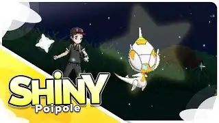[Live] Shiny Poipole in 1816 Soft Resets in Ultra Sun!