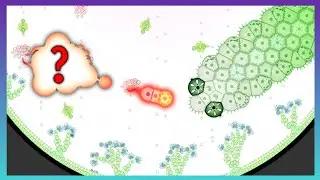Worm Apocalypse: The Nitrogen Catastrophe || Nitrogen Delivery Pt 4