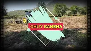 Extrallendo el cacahuate de tierra seca con maquinaria pesada y en equipo