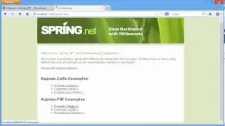 Spring.NET NHibernate Northwind reports using Aspose.Cells and Aspose.Pdf