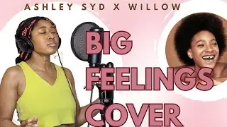 Big Feelings - Willow Cover | Ashley Syd