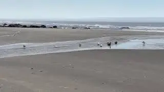 Oceanside Park