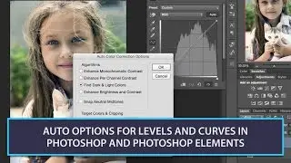 Auto Options For Levels and Curves in Photoshop and Photoshop Elements
