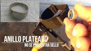 Buscando tesoros en puerto madryn