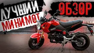 Honda Grom MSX125 Обзор лучшего минибайка в истории Всеми любимый маленький мотоцикл Хонда Гром 125