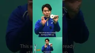 Best shuttlecock to buy?
