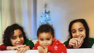 THE BOWIE FAMILY PUT UP THE FAMILY CHRISTMAS TREE 2021 ***