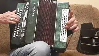 Чайка_2