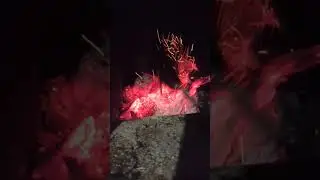 Горит лучше чем топливные брикеты....