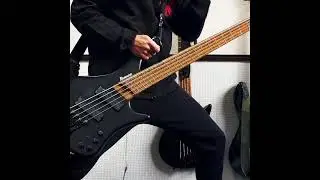 HANT PLACE - Walk Blind  ||  Bass Cover 