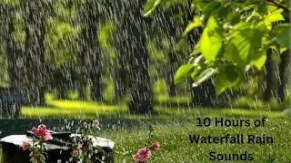 Rainy Day Ambience: Bird Chirps and Rain Sounds for Relaxation #RainSounds #Relaxation #nature