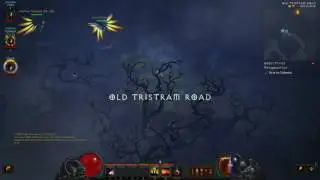 Diablo 3 Reaper of souls Playthrough PC HARD Demon Hunter Act 1,2