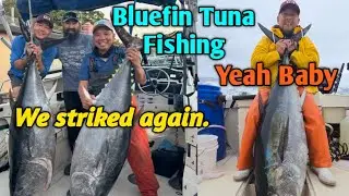 Bluefin Tuna Fishing: We strikes again - Chaos.