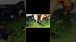 Childhood Memories Malayalam Whatsapp Status Video