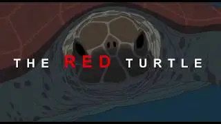 Understanding the Red Turtle | The Red Turtle (2016) | Character Analysis