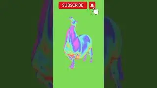 Green Screen Animation - Neon Horse WaLking (COPYRIGHT FREE)