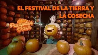Laberinto del Terror 😱 🎃 Pumpkin Dash: festival de la tierra y la cosecha en Monterrey 👻⚰️