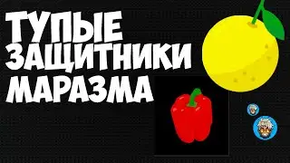 ТУПЫЕ ЗАЩИТНИКИ МАРАЗМА!!!!!
