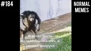 я хотел пнуть волейбольный мяч | мемы